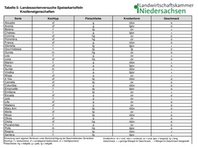 LSV Speisekartoffel 2022 Knolleneigenschaften