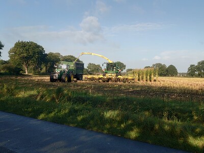 Inzwischen hat die Maisernte auch im Norden Niedersachsens begonnen. - © Karl-Gerd Harms Inzwischen hat die Maisernte auch im Norden Niedersachsen begonnen.