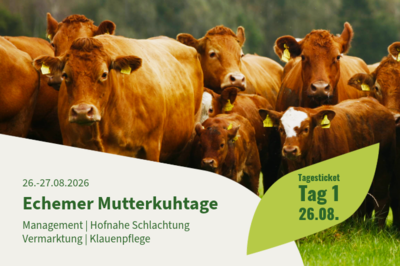 Mutterkuhtage Echem - © Jasmin Nühs /media/media/07291FCF-9688-4D31-3F0710FA0DACC21F.png