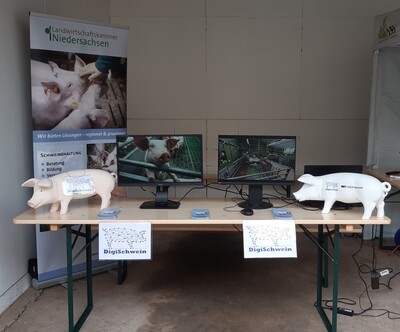 Ausstellungsstand des Projektes „Experimentierfeld DigiSchwein“ auf der Regionalkonferenz „Innovationen und Konzepte für eine nachhaltige Agrarwirtschaft“ am 15. September 2022 auf der Lehr- und Versuchsanstalt für Viehhaltung, dem Hofgut Neumühle.