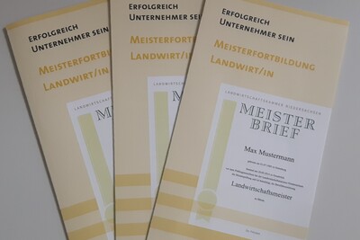 Infoblatt Meisterkurs