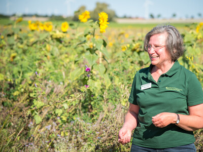 LWK-Biodiversitätsberaterin Martina Diehl erläutert die Zusammensetzung einer Fläche speziell für den Rebhuhnschutz bei Wolfenbüttel-Leinde.