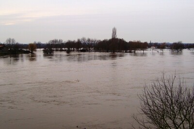 Weser-Hochwasser 2011