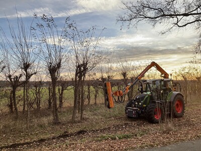 Hecken in der freien Landschaft können von Anfang Oktober bis Ende Februar gepflegt werden. - © Kerstin Fricke Landschaftshecken können von Anfang Oktober bis Ende Februar gepflegt werden.