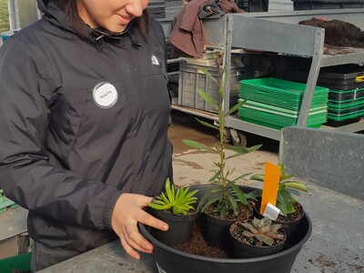 Zukunftstag 2025 im Gartenbau - © Christine Hahne Zukunftstag 2025 im Gartenbau