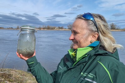 Aalbesatzaktion 2026 - © Stefan Feichtinger Aalbesatzaktion 2026