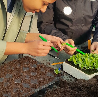 Zukunftstag 2025 im Gartenbau - © Christine Hahne Zukunftstag 2025 im Gartenbau