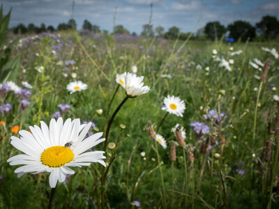 Unterzeichnung der Vereinbarung Der Niedersächsische Weg – Maßnahmenpaket für Natur-, Arten- und Gewässerschutz am 25.05.2020 in Wunstorf.