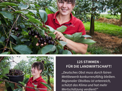 Britta Stechmann - Obstbaumeisterin