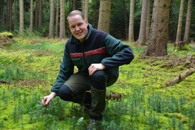 An vielen Stellen in der Bezirksförsterei Sögel kann auch mit Naturverjüngung gearbeitet werden, hier mit Fichte. - © Carl Hesebeck An vielen Stellen in der Bezirksförsterei Sögel kann auch mit Naturverjüngung gearbeitet werden, hier mit Fichte.
