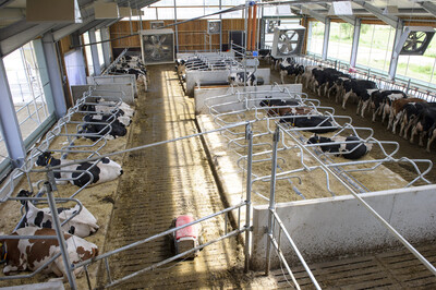 AMS-Stall im LBZ - © Hans-Jürgen Wege AMS-Stall im LBZ