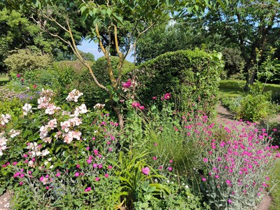 Gartenexkursionen zu ländlichen Gärten - © Anke Kreis /media/media/3DFD30A4-F1FE-3211-F746E73608AF39E8.jpg