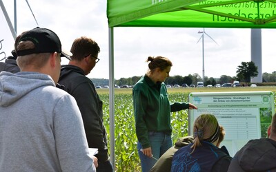 Karen Peters (LWK Ni) stellte rechtliche Vorgaben zum Zwischenfruchtanbau vor, Feldtag Schwüblingsen, 10. Juni 2024 - © Lea Ball Karen Peters (LWK Ni) stellte rechtliche Vorgaben zum Zwischenfruchtanbau vor, Feldtag Schwüblingsen, 10. Juni 2024