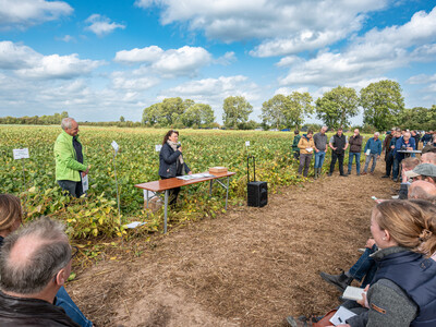 LeguNet-Soja-Feldtag der Landwirtschaftskammer Niedersachsen in Blender (Kreis Verden).