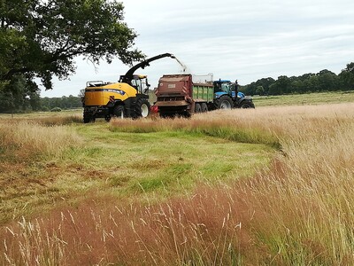 Forschungsprojekt Biotopverbund Grasland in Norddeutschland