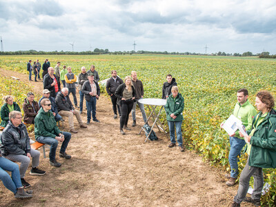 LeguNet-Soja-Feldtag der Landwirtschaftskammer Niedersachsen in Blender (Kreis Verden).