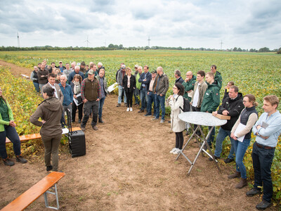 LeguNet-Soja-Feldtag der Landwirtschaftskammer Niedersachsen in Blender im Kreis Verden.