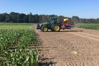 Feldtage - © Lüder Bornemann Feldtage