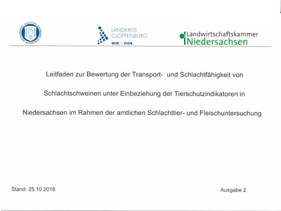 Leitfaden zur Bewertung der Transportfähigkeit