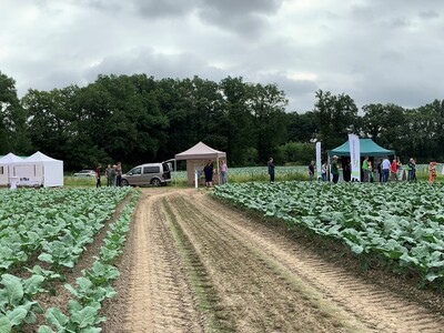 Ausstellungsfläche Feldtag RESIDUE