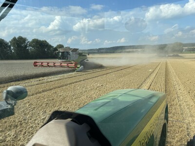 Weizenernte - © Caroline Benecke Weizenernte