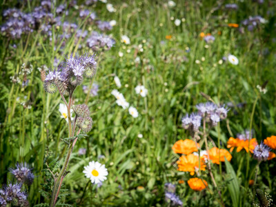 Unterzeichnung der Vereinbarung Der Niedersächsische Weg – Maßnahmenpaket für Natur-, Arten- und Gewässerschutz am 25.05.2020 in Wunstorf.