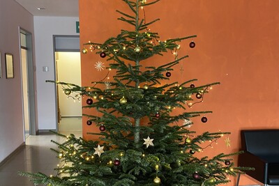 Weihnachtsbaum Bezirksstelle Emsland