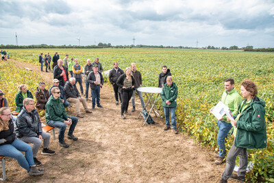 LeguNet-Soja-Feldtag der Landwirtschaftskammer Niedersachsen in Blender (Kreis Verden).