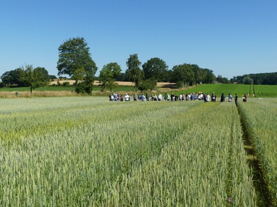 Feldtag im Ökolandbau - © Isabel Bröker /media/media/A550AB12-A50B-718F-3E117B4F7938DC65.JPG