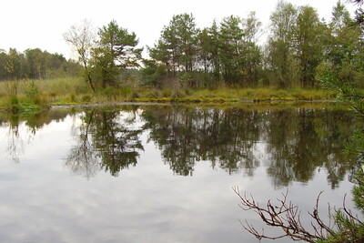 Landschaft - © Susan Damisch Landschaft