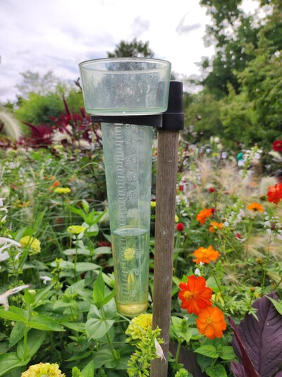 Regenmesser im Beet - © Nadja Krause Regenmesser im Beet