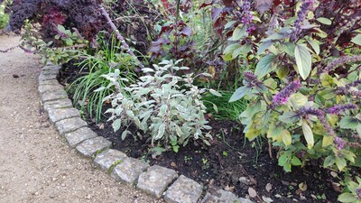 geschwungene Beeteinfassung aus Granit