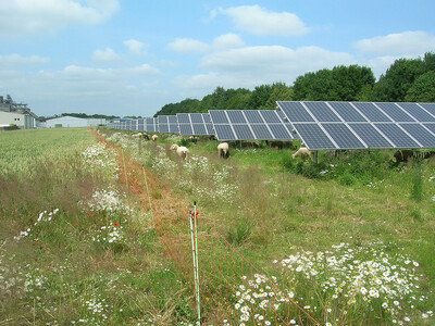 Freiflächen PV - © Helmut Wahl Freiflächen PV