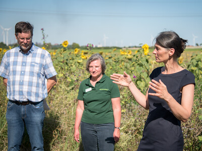 Landwirt Matthias Johns, LWK-Biodiversitätsberaterin Martina Diehl und Agrarministerin Miriam Staudte (v.l.) auf einer Fläche speziell für den Rebhuhnschutz bei Wolfenbüttel-Leinde.