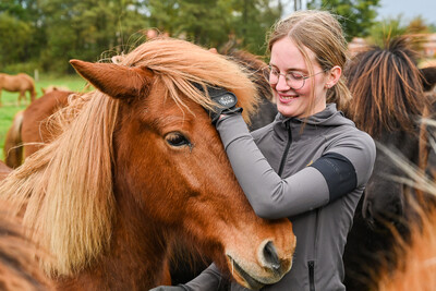Pferdewirt*in, Arbeit mit Isländern - © Andreas Teichler Pferdewirt*in, Arbeit mit Isländern
