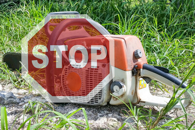 Pause für die Motorsäge bei Bäumen, Hecken, Gebüschen und anderen Gehölzen in der freien Landschaft: So sieht es das Gehölzschnittverbot vor, das von 1. März bis 30. September gilt. - © Kenrick Penner, Elias/Pixabay, Montage LWK/Isabell Eilers Pause für die Motorsäge bei Bäumen, Hecken, Gebüschen und anderen Gehölzen in der freien Landschaft: So sieht es das Gehölzschnittverbot vor, das von 1. März bis 30. September gilt.