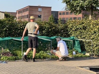 Besucher vor Mustergräbern mit Stauden - © Beate ter Hell Besucher vor Mustergräbern mit Stauden