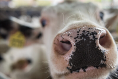 Dreharbeiten LBZ Echem 10.05.2017 - © Wolfgang Ehrecke Dreharbeiten LBZ Echem 10.05.2017