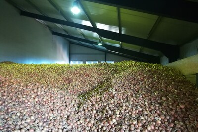 Zwiebellager - © Michael Dunker /media/media/EDA22BE6-AA8B-5DB5-5B41C8456774D688.jpg