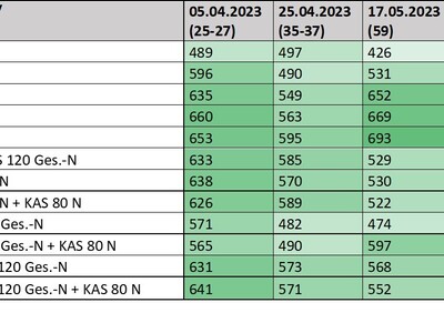 Tabelle einzelner Blattchlorophyllgehalte von Winterroggen