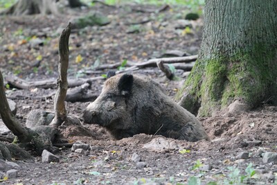 Ausbildung Revierjäger - © Jens Hepper Ausbildung Revierjäger