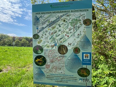 Infotafel - Blühstreifen in Loga