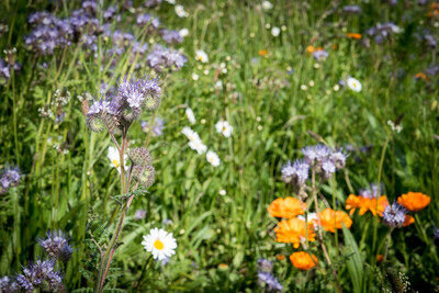 Unterzeichnung der Vereinbarung Der Niedersächsische Weg – Maßnahmenpaket für Natur-, Arten- und Gewässerschutz am 25.05.2020 in Wunstorf.