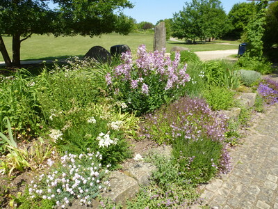 im Garten der Düfte, Park der Sinne Laatzen