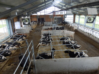 Lüftung Milchviehstall - © Sebastian Bönsch /media/media/AD469CF9-C30C-4C11-45C191CD771A22EA.JPG