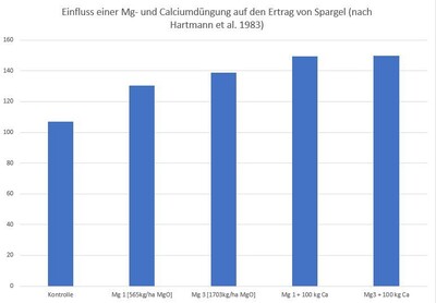 Magnesium Düngung im Spargel