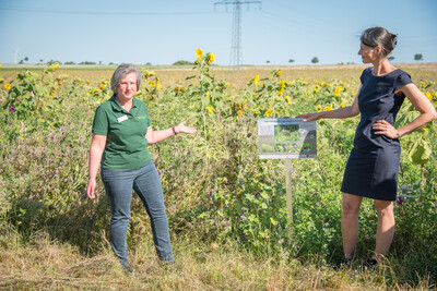 LWK-Biodiversitätsberaterin Martina Diehl (l.) und Agrarministerin Miriam Staudte auf einer Fläche speziell für den Rebhuhnschutz bei Wolfenbüttel-Leinde.