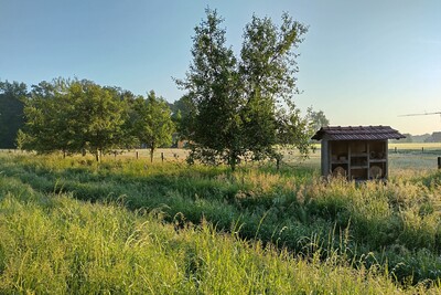 Obstbaumreihe Insektenhotel