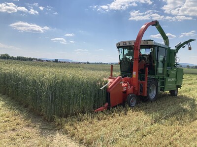 Ernte Getreide GPS-Versuch - © Carsten Rieckmann Ernte Getreide GPS-Versuch