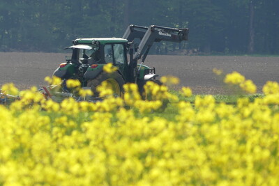 Rapsblüte mit Schlepper im Hintergrund